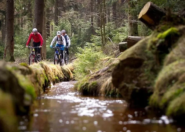 Ferienhaeuser Am Waldschloesschen 1 Дом отдыха *
